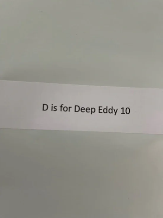 Madewell NWT Eyelet Embroidered Maxi Skirt Size 6 in Salt - Picture 16 of 16